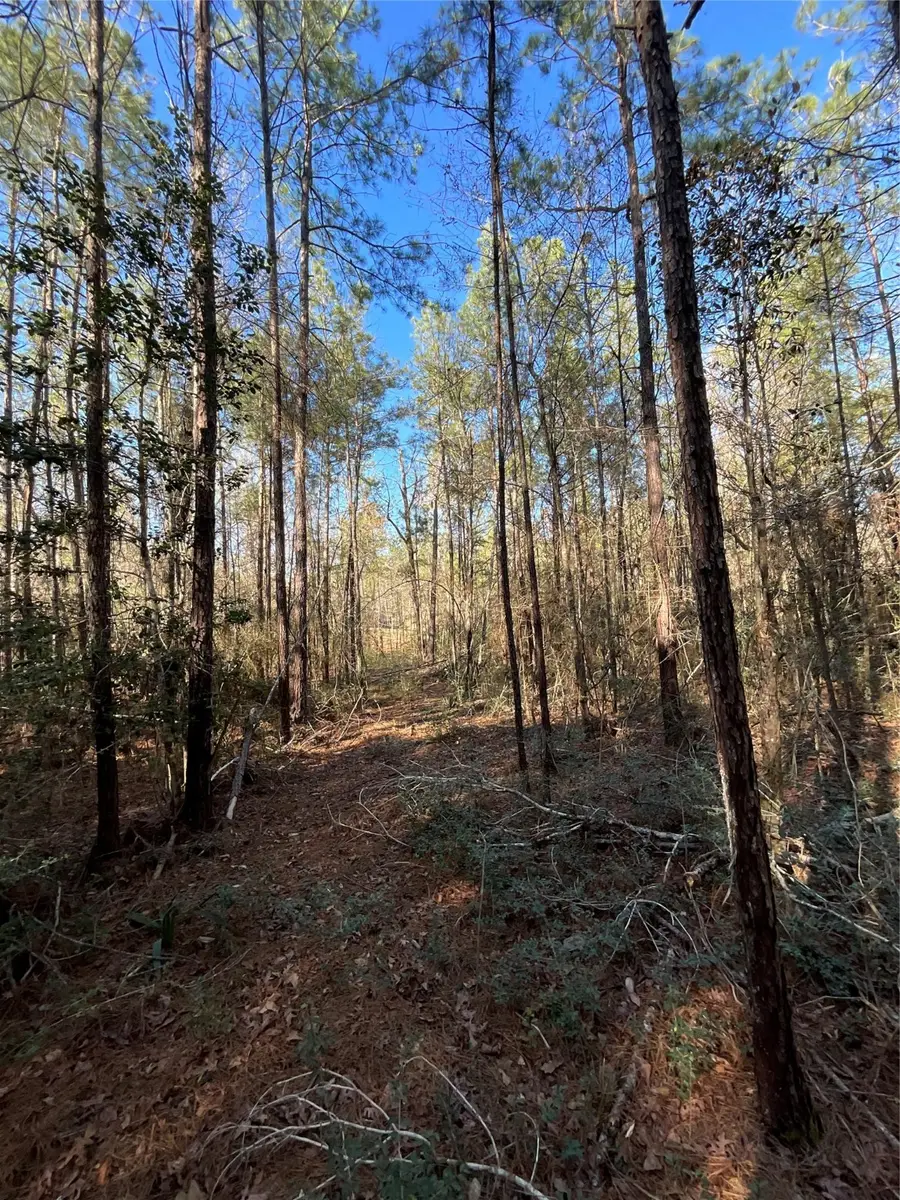 175 Exploration Road, Willis, TX 77378 - Image #2