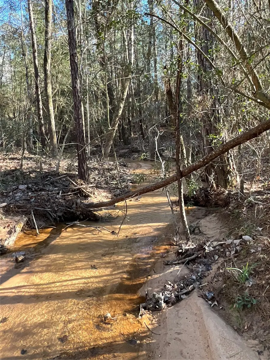 175 Exploration Road, Willis, TX 77378 - Image #3