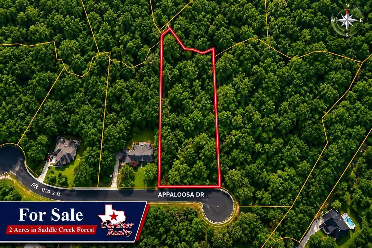 17847 Appaloosa Dr, Waller, TX 77484 - #1