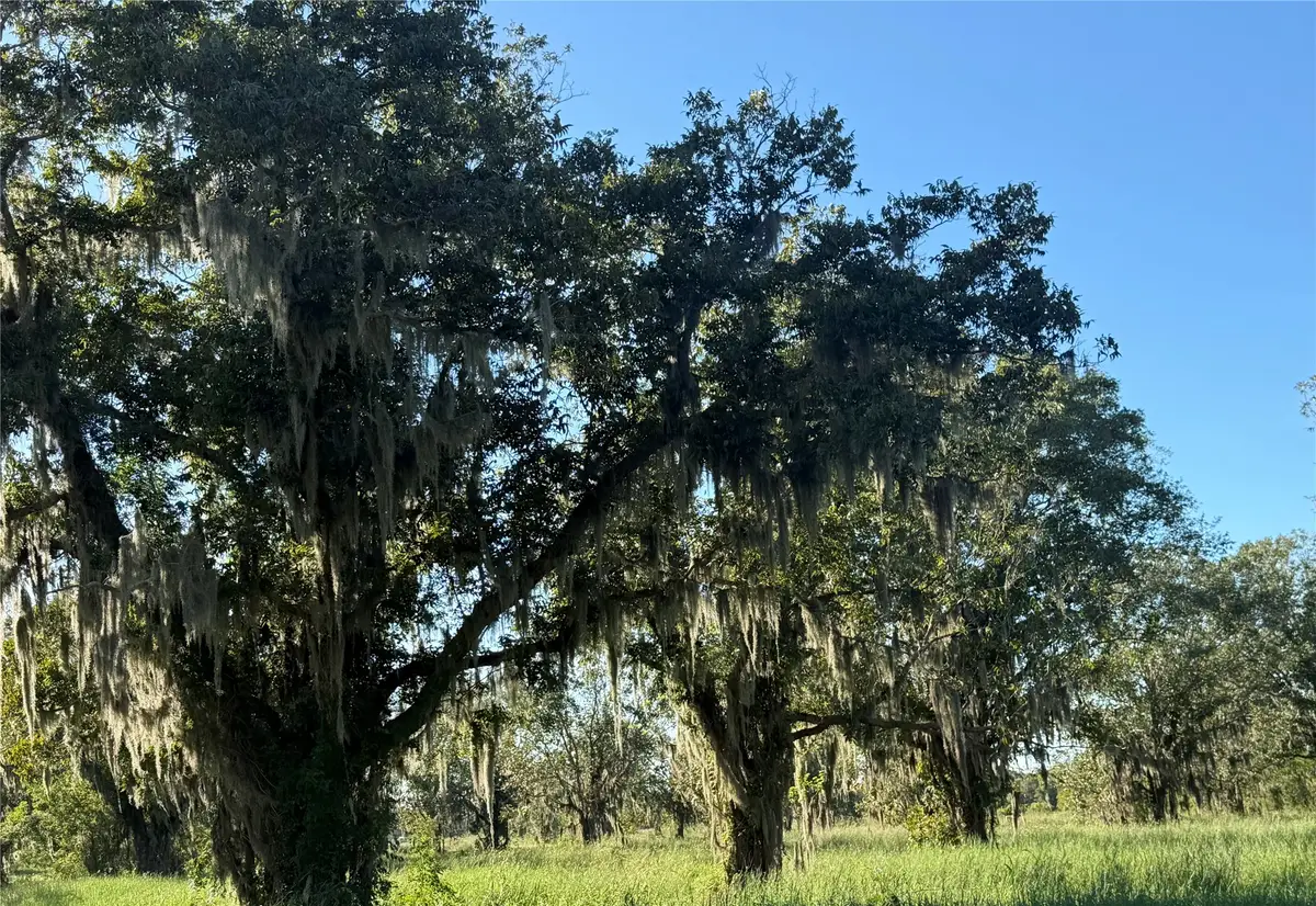 0 County Road 13, Damon, TX 77430 - #1