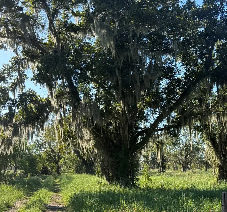 0 County Road 13, Damon, TX 77430 - #2