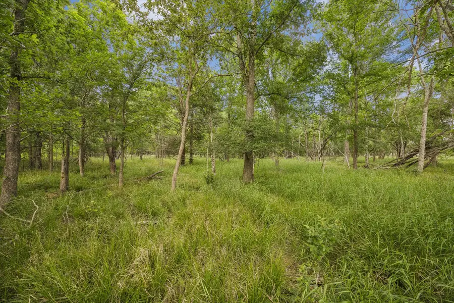 5000 A Brewer Road, Sealy, TX 77474 - #3