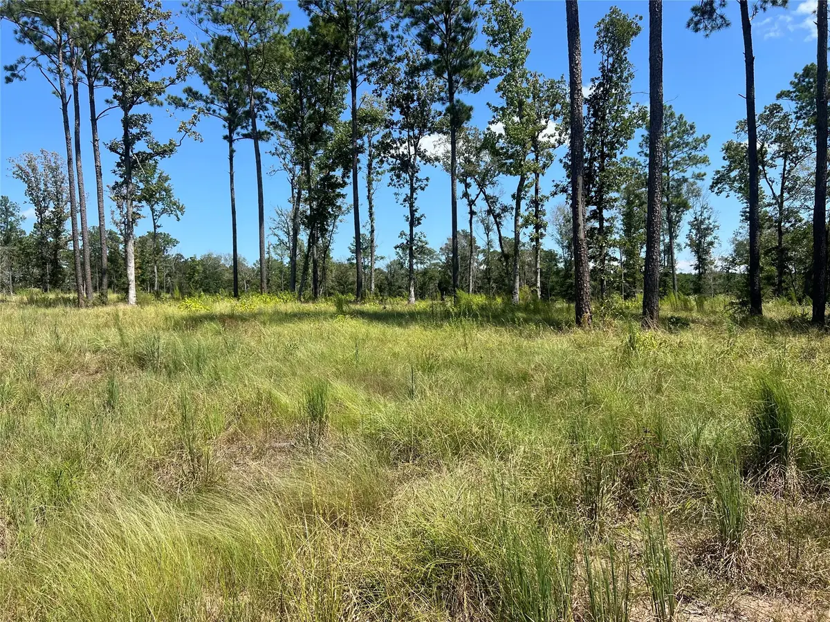 TBD Ray Marsh Rd Road, Livingston, TX 77351 - Image #1