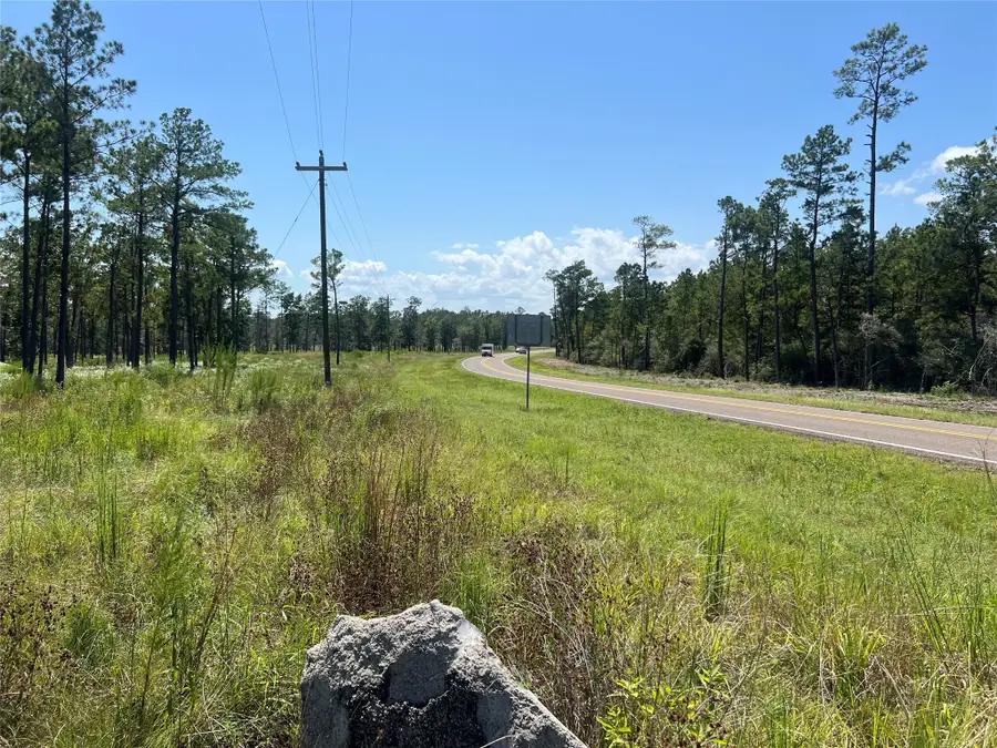 TBD Ray Marsh Rd Road, Livingston, TX 77351 - Image #3