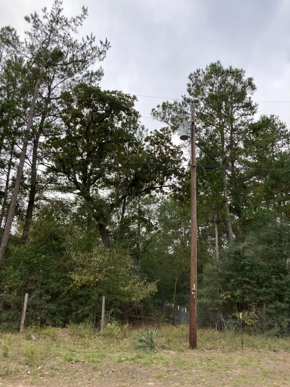 16596 Camelia Lane, Plantersville, TX 77363 - #1