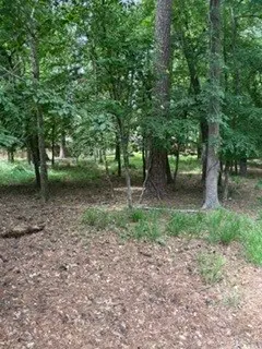 1933 Rollingwood Dr, Huntsville, TX 77340 - #2