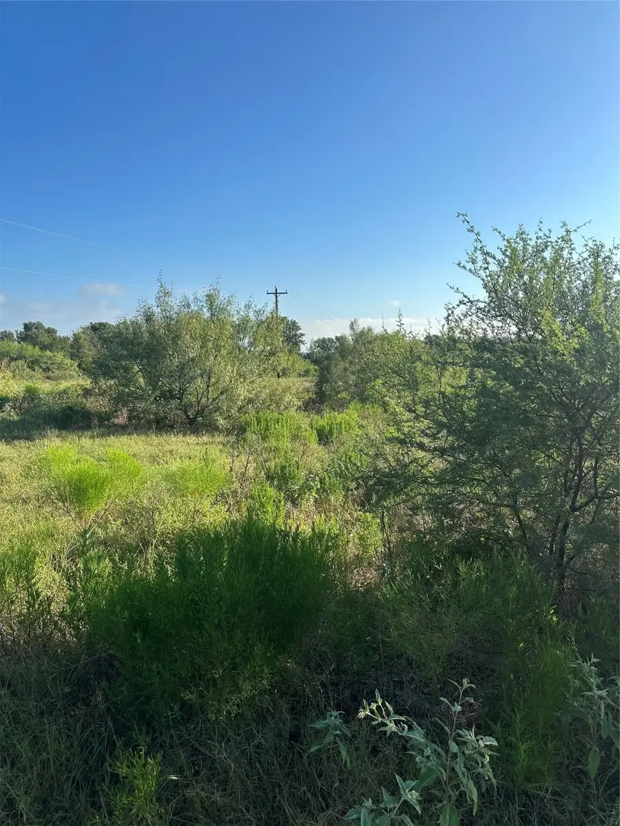 1503 County Road 428, Dime Box, TX 77853 - #2