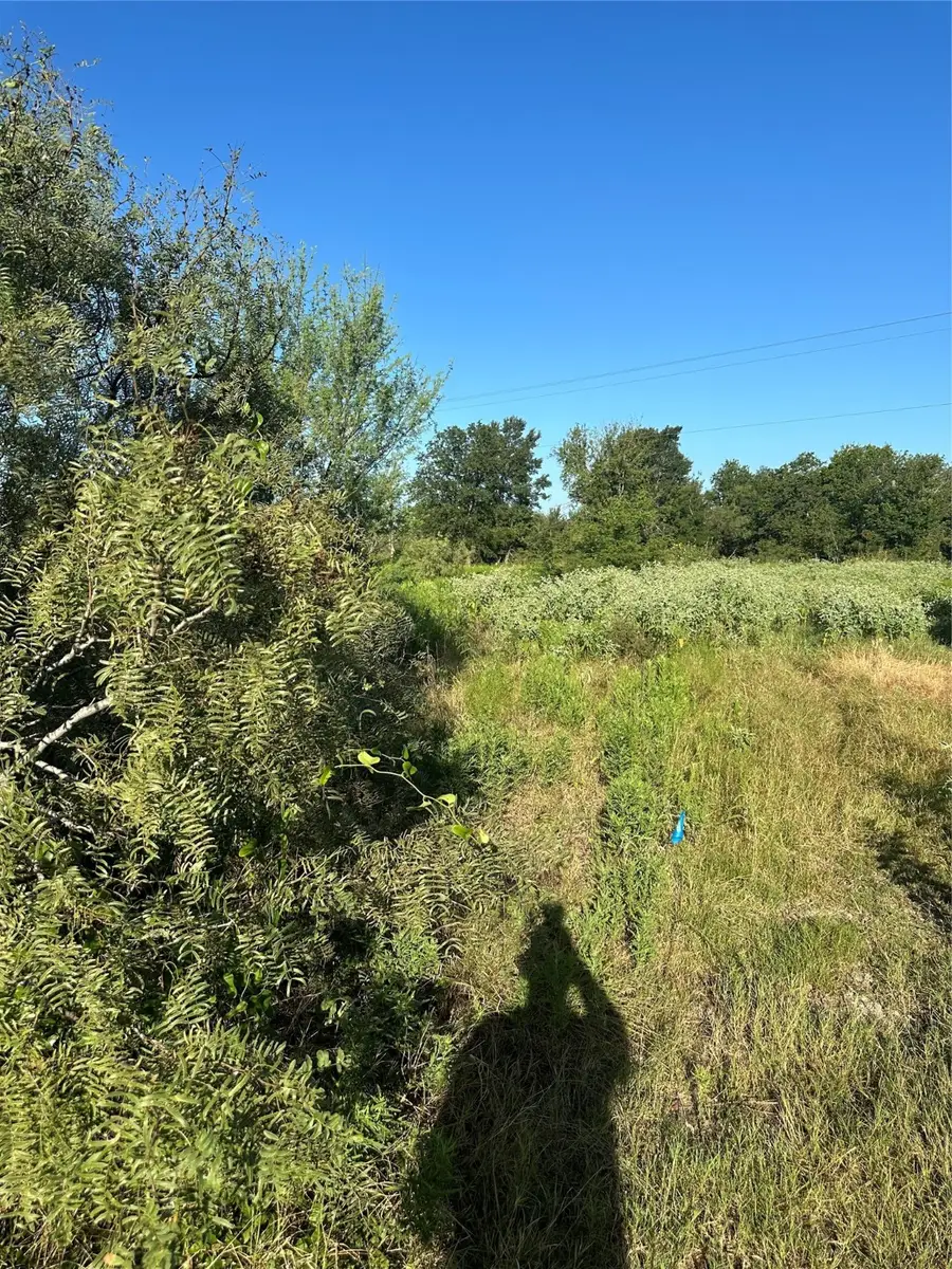 1503 County Road 428, Dime Box, TX 77853 - #3