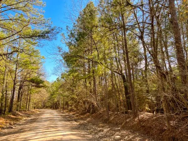 16 Paces Creek, Corrigan, TX 75939