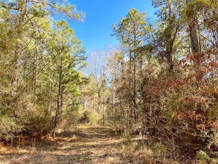 16 Paces Creek, Corrigan, TX 75939 - #2
