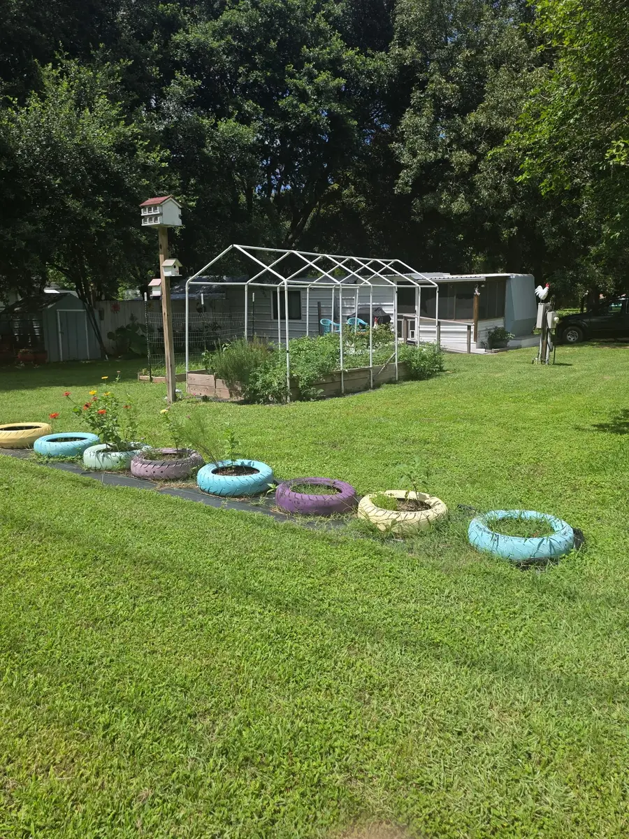 11 Pine Road W, Coldspring, TX 77331 - #3