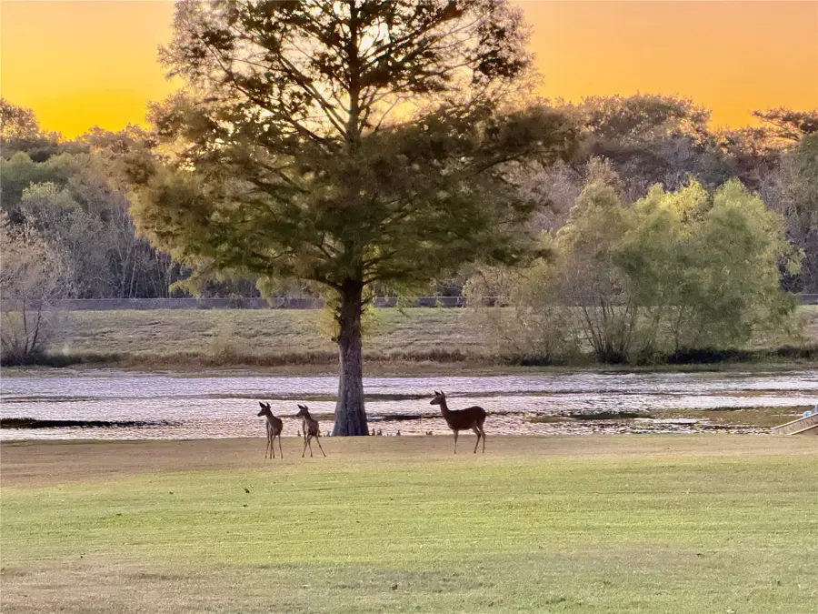 6005 Lakeside Drive, Liberty, TX 77575 - Image #2