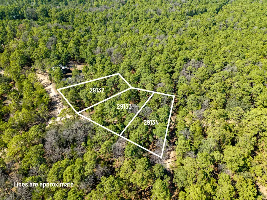 TBD Red Fox, La Grange, TX 78945 - #3