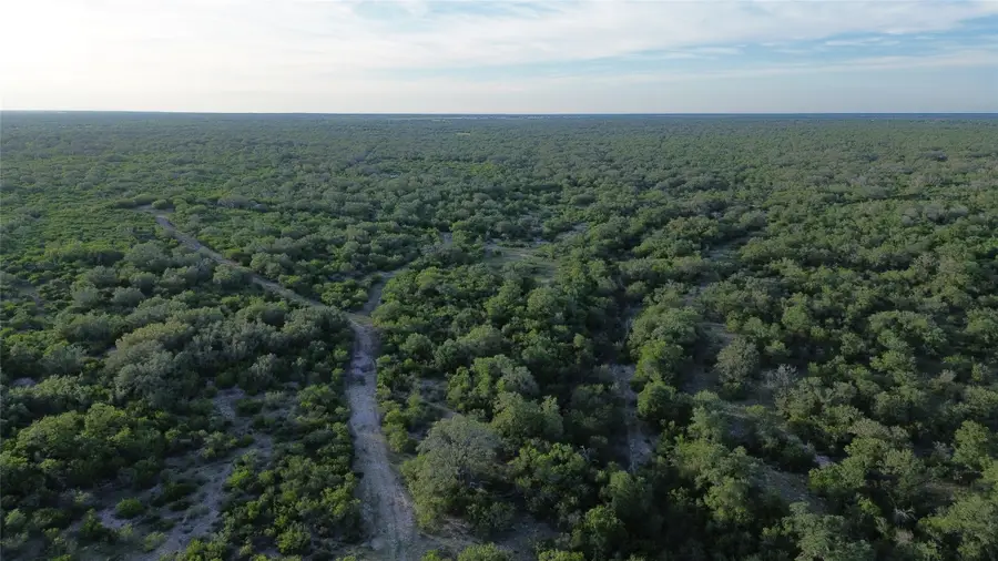 6104 Lucas Road, Goliad, TX 77963 - #2