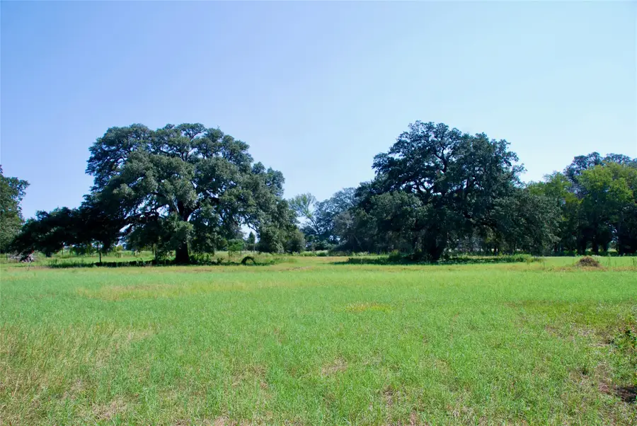 Lot 4 Harvell Lane, Schulenburg, TX 78956 - #2