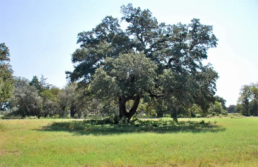 Lot 4 Harvell Lane, Schulenburg, TX 78956 - #3