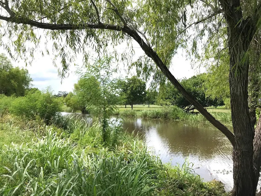 762 Stallion Circle, Angleton, TX 77515 - #2