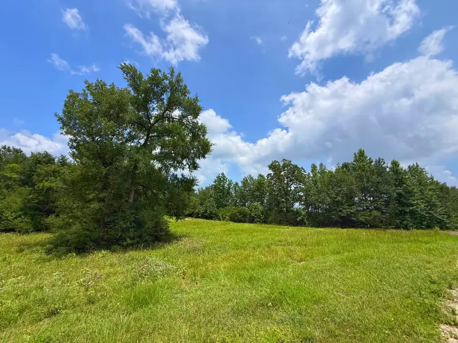 TBD Cr 2012, Centerville, TX 75833 - #3