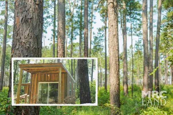 00 Forest Service Road 511, Grapeland, TX 75844