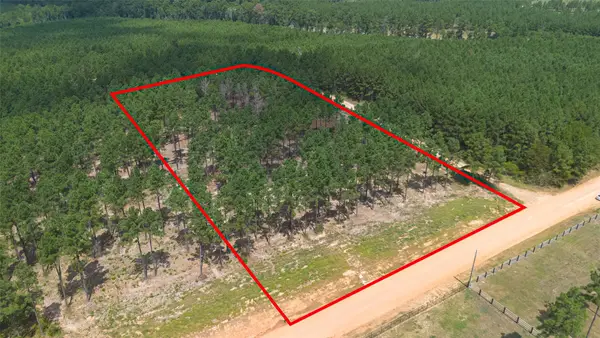0 Richardson Road E, Livingston, TX 77351