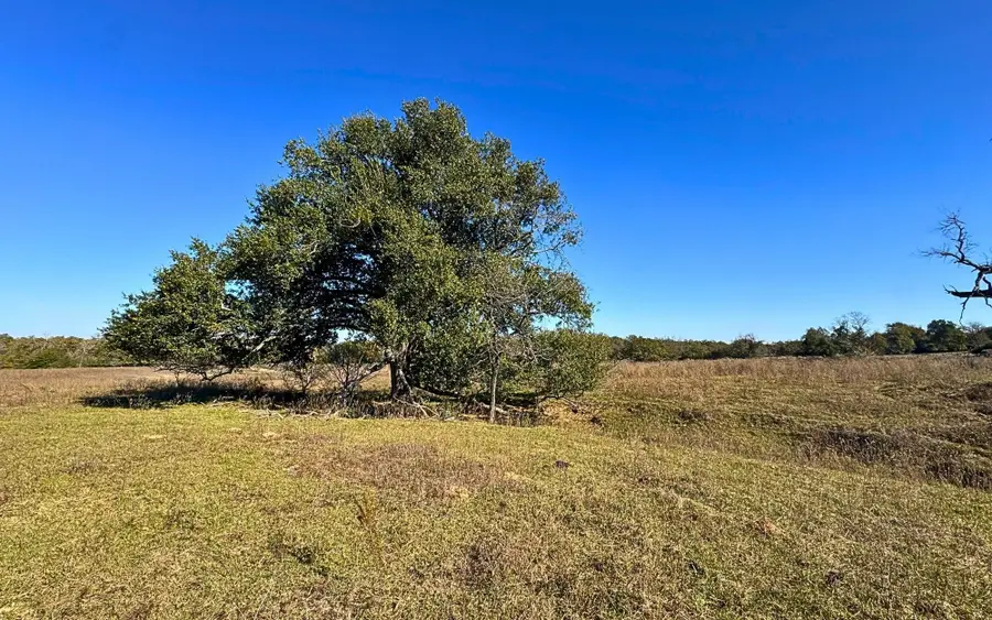 4834 Old Boone Prairie Road - 108 Acres, Franklin, TX 77856 - Image #2