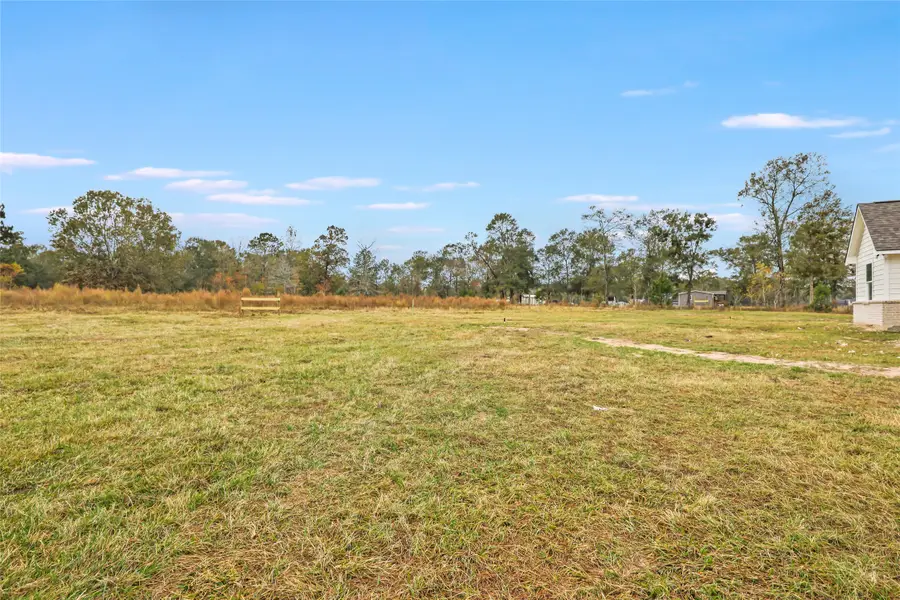 25154 Blackburn Drive, Splendora, TX 77372 - Image #2