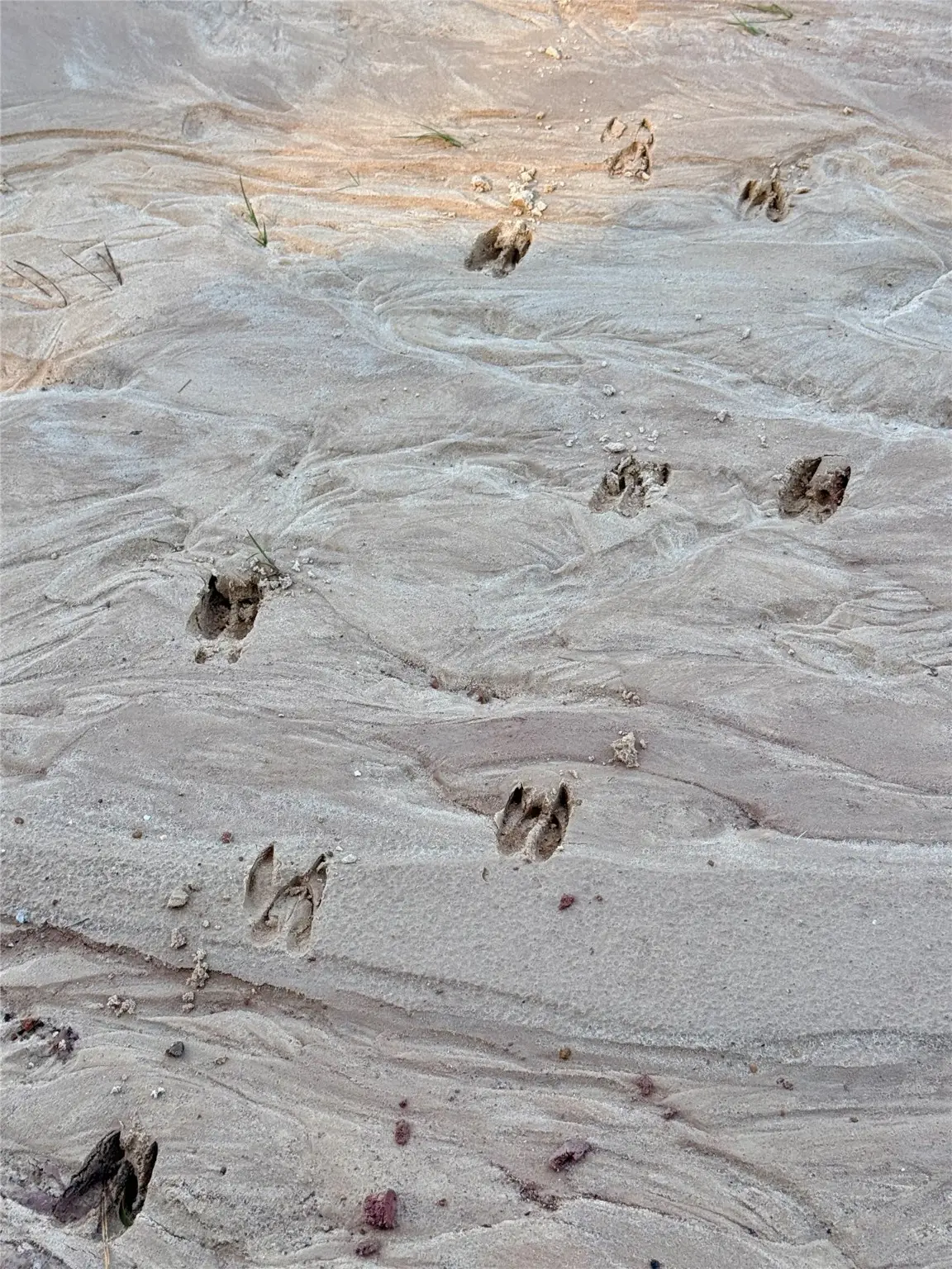 000 Lakeland Drive, Hillister, TX 77624 - Image #1