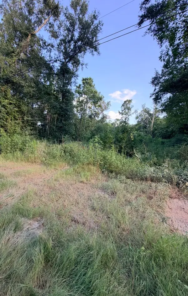 0 Lyric, Conroe, TX 77302