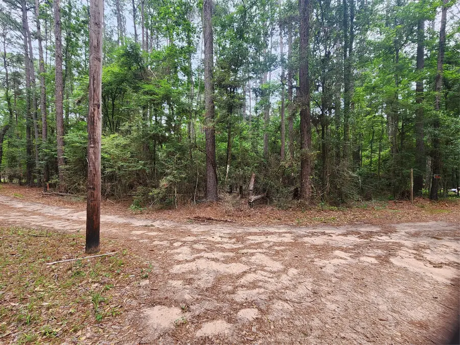 277 Long King, Livingston, TX 77351 - #2