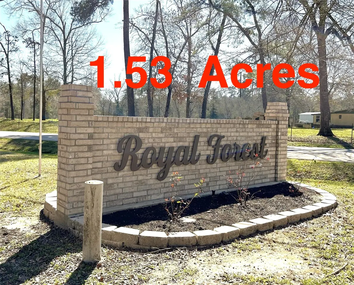 0 Royal Springs Rd Road, Conroe, TX 77303 - #1