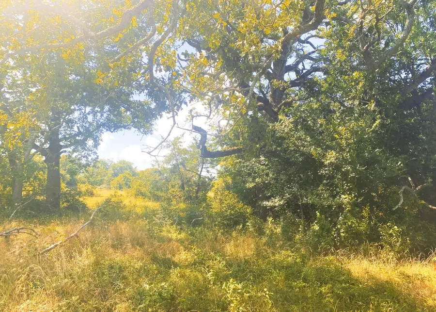 10830 Whiterock Road, Bremond, TX 76629 - #3