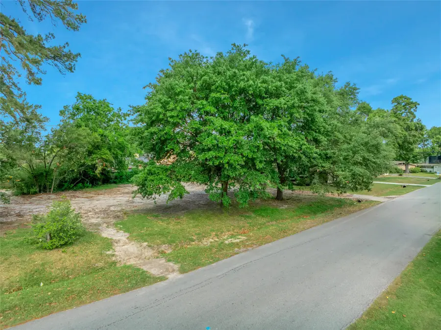 1441 Durango Drive, Houston, TX 77055 - Image #3