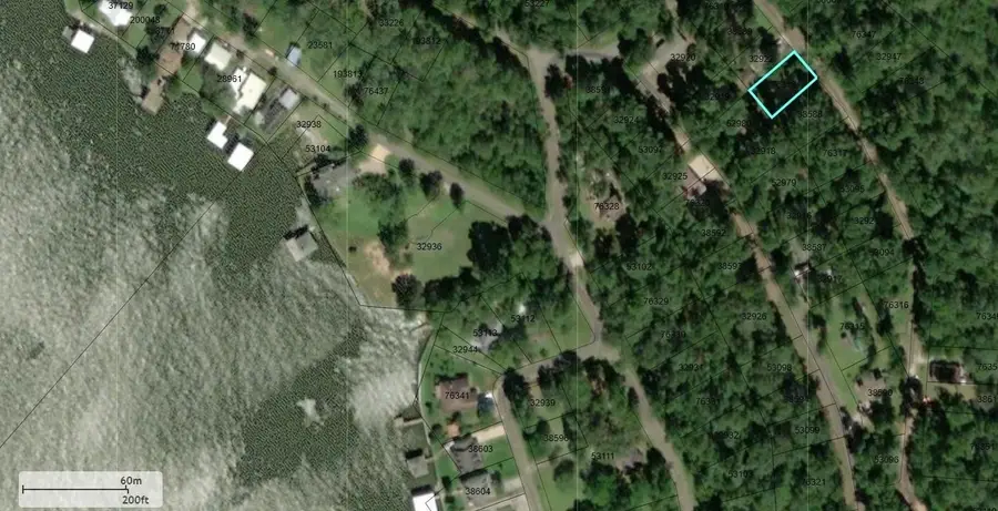 503 Lakeshore Point Drive, Livingston, TX 77351 - Image #2