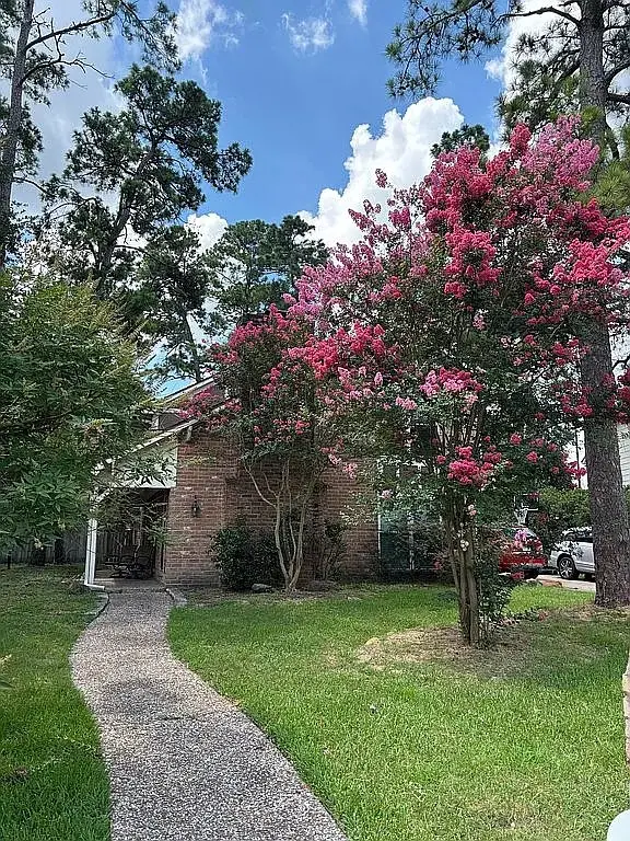 12115 Fawnview Drive, Houston, TX 77070 - #2