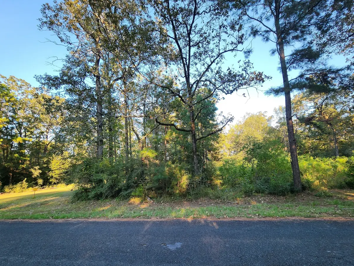 0 Hackberry Drive, Onalaska, TX 77360 - Image #1