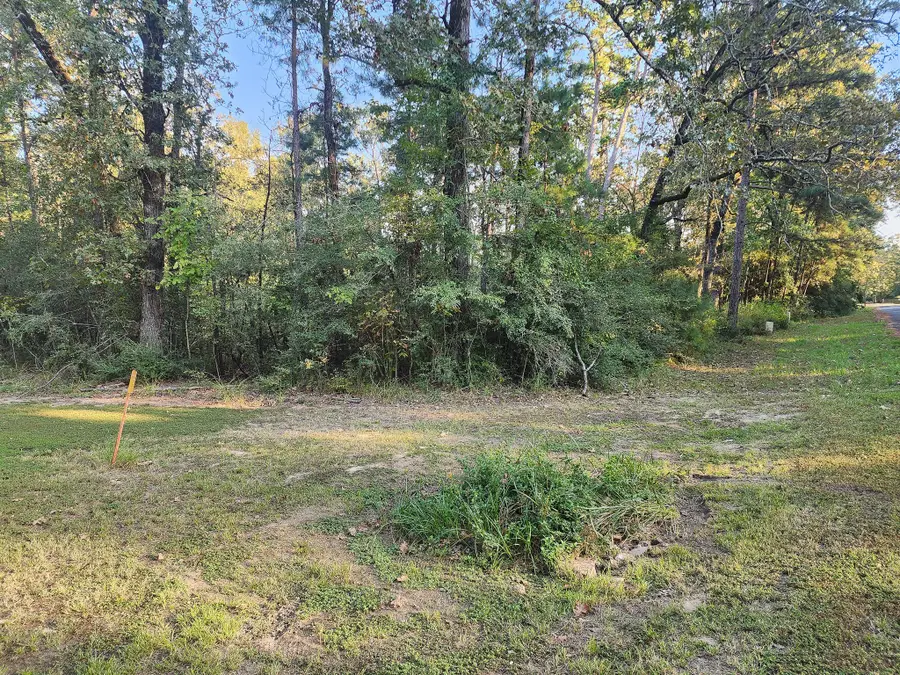 0 Hackberry Drive, Onalaska, TX 77360 - Image #3