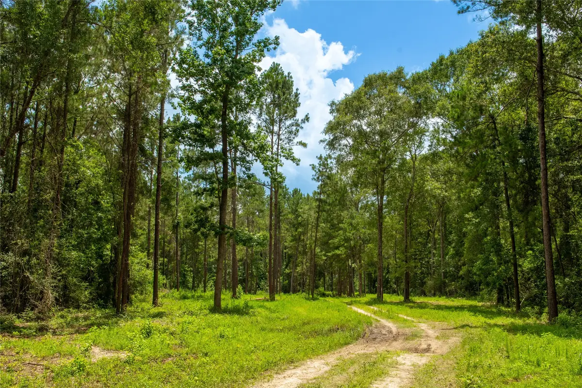 0 County Road 547, Kirbyville, TX 75956 - #1
