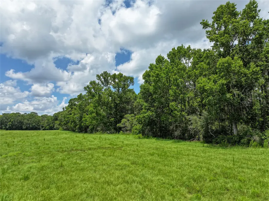 0 County Road 547, Kirbyville, TX 75956 - #3