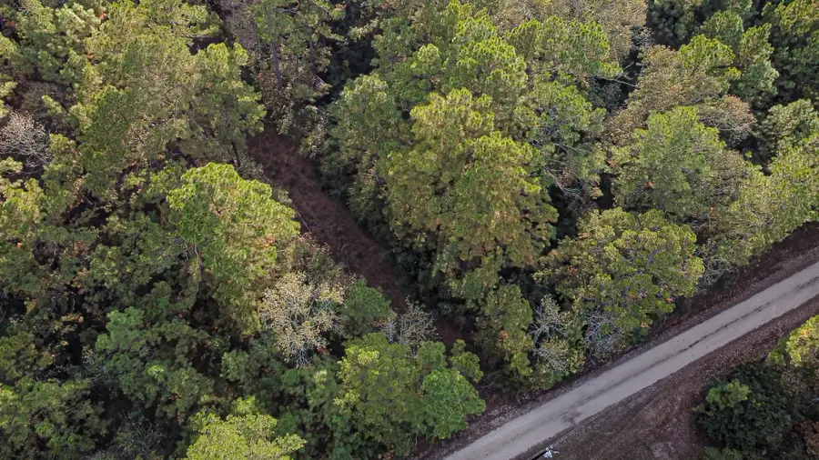 186 Rosanky, Livingston, TX 77351 - Image #2