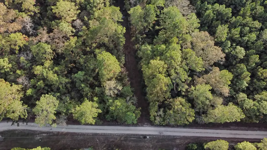 186 Rosanky, Livingston, TX 77351 - Image #3