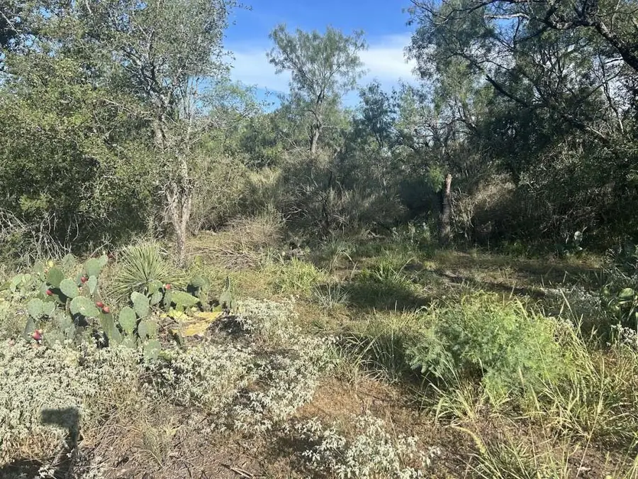 0 Glen Forest Drive, Granite Shoals, TX 78654 - #2