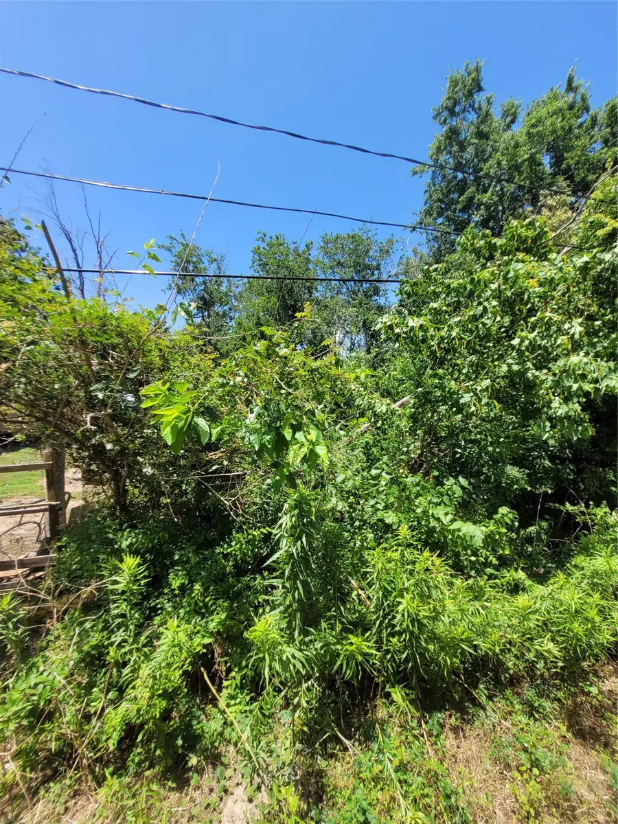 Lots 23-25 Cargill Street, Houston, TX 77029 - #3