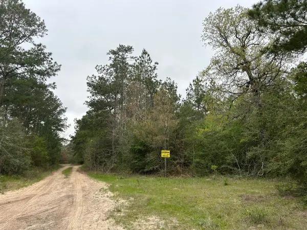 0 Unassigned Name, Willis, TX 77378