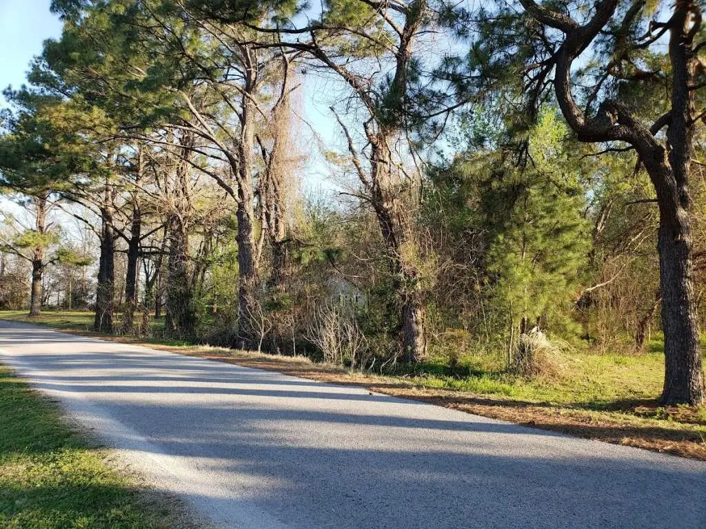 0 Longmire Road, Three Way, TN 38343 - #1