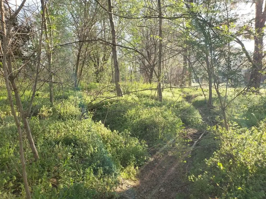 0 Longmire Road, Three Way, TN 38343 - #3