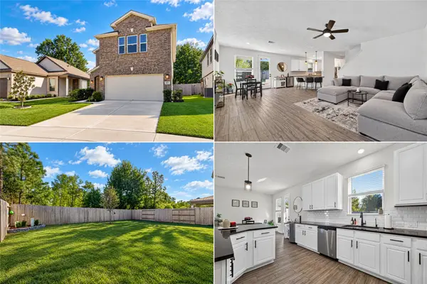 9453 Castillo Court, Magnolia, TX 77354