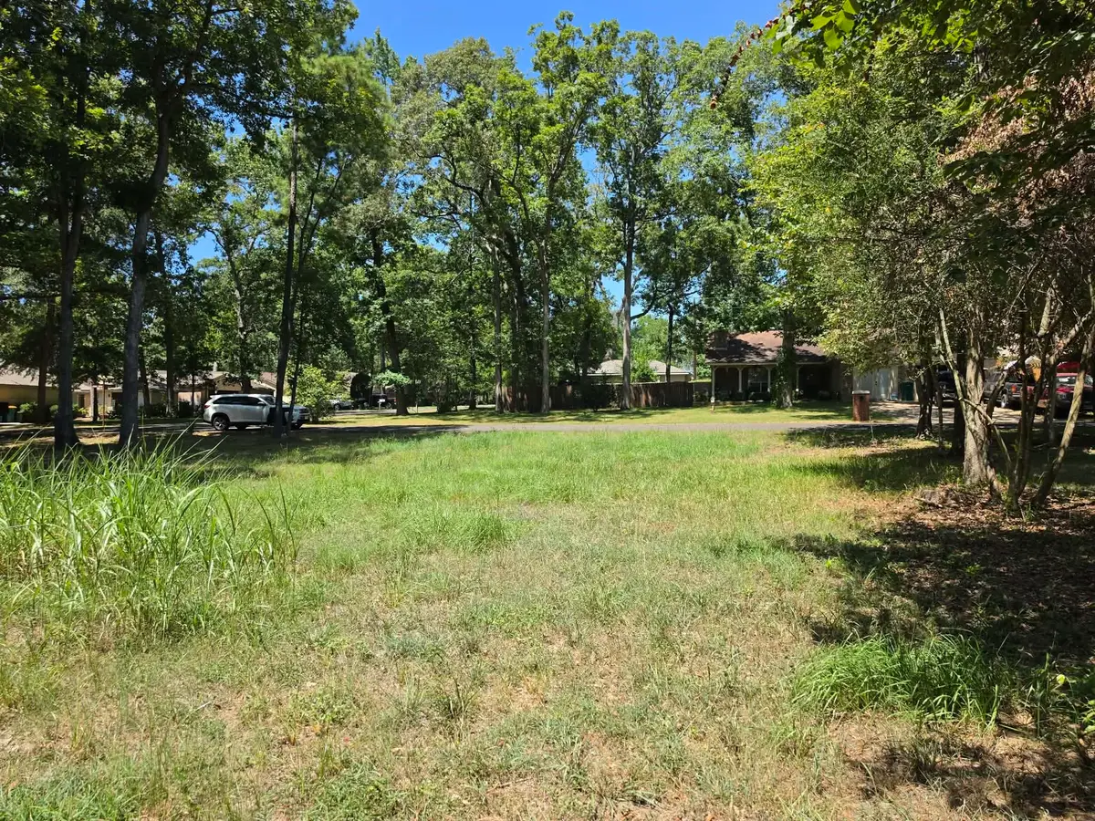 288 Apple Valley Drive, Panorama Village, TX 77304 - #1
