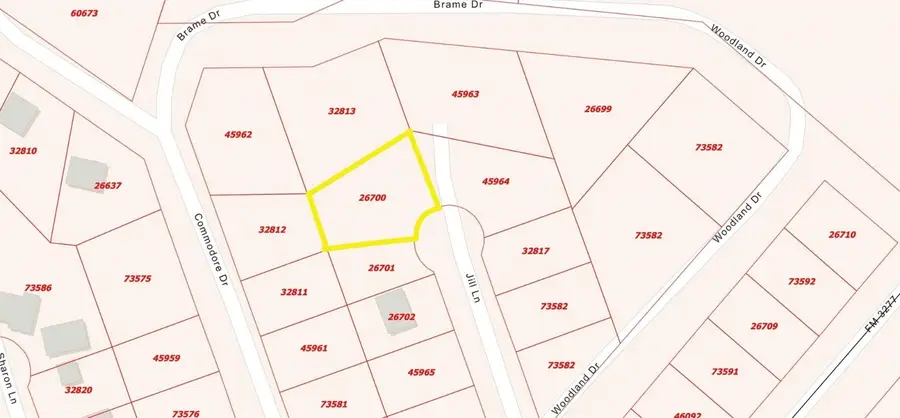 TBD Jill Lane, Livingston, TX 77351 - #2