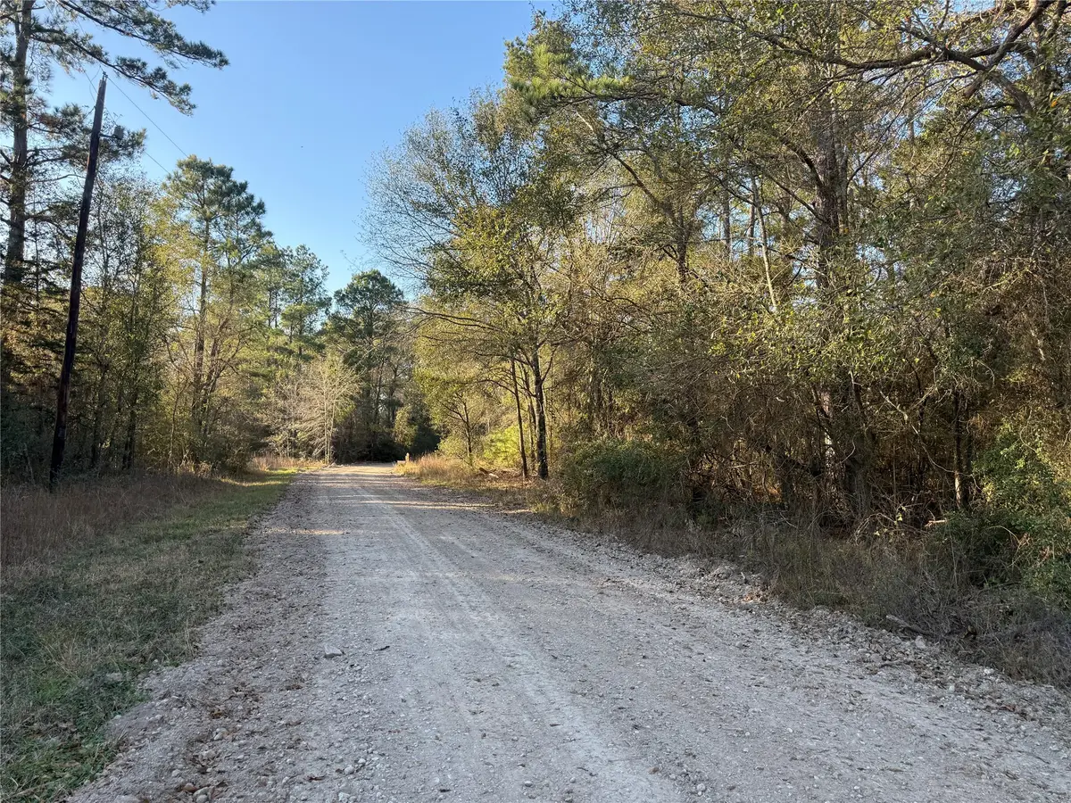 00006 Deer Ridge Road Road, Bedias, TX 77831 - Image #1