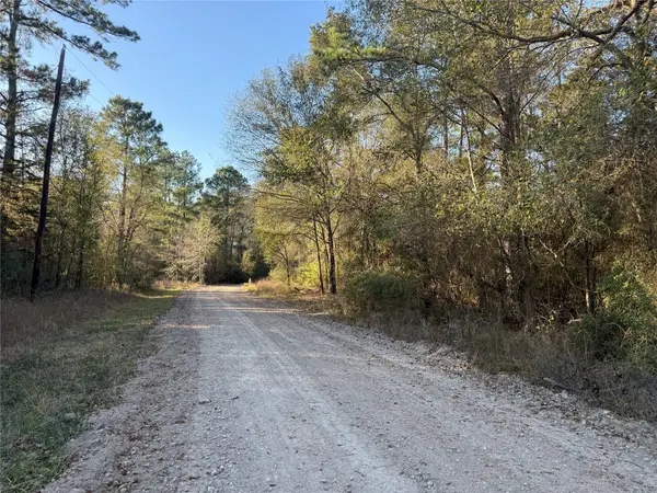 00006 Deer Ridge Road Road, Bedias, TX 77831